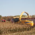 Corn Silage Cropping