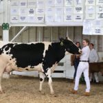 Trinity at the County Fair - August 2016